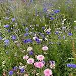 펜션 Normands De Charme Les Chataigniers Bretteville-du-Grand Caux