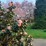 Normands De Charme Les Chataigniers * Bretteville-du-Grand Caux