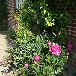 Normands De Charme Les Chataigniers * Bretteville-du-Grand Caux