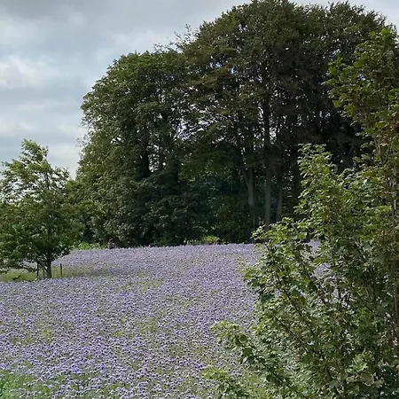 Gites Normands De Charme Les Chataigniers Bretteville-du-Grand Caux