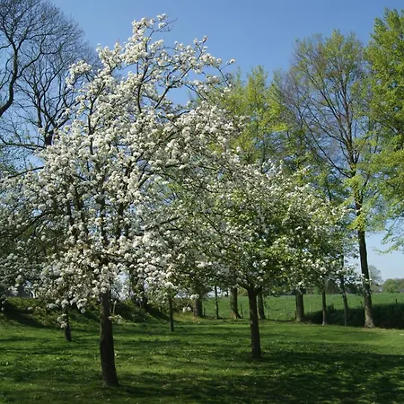 Σπίτι διακοπών Normands De Charme Les Chataigniers *