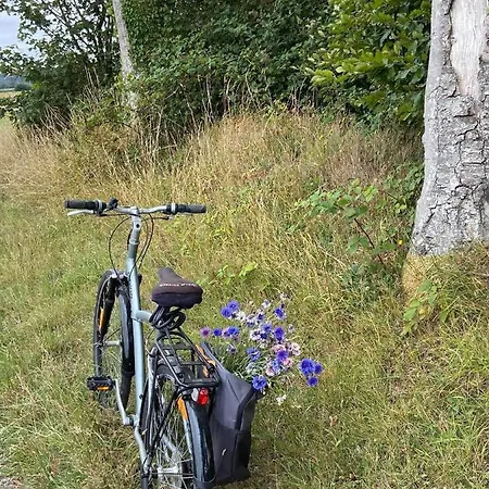 Semesterbostad Normands De Charme Les Chataigniers