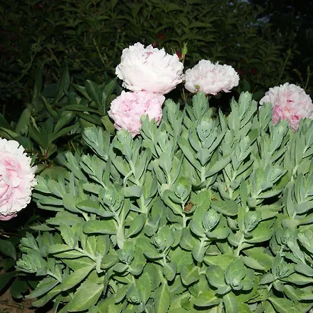 Σπίτι διακοπών Normands De Charme Les Chataigniers *