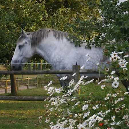 Normands De Charme Les Chataigniers *