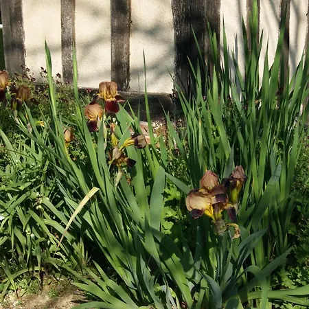 Normands De Charme Les Chataigniers *